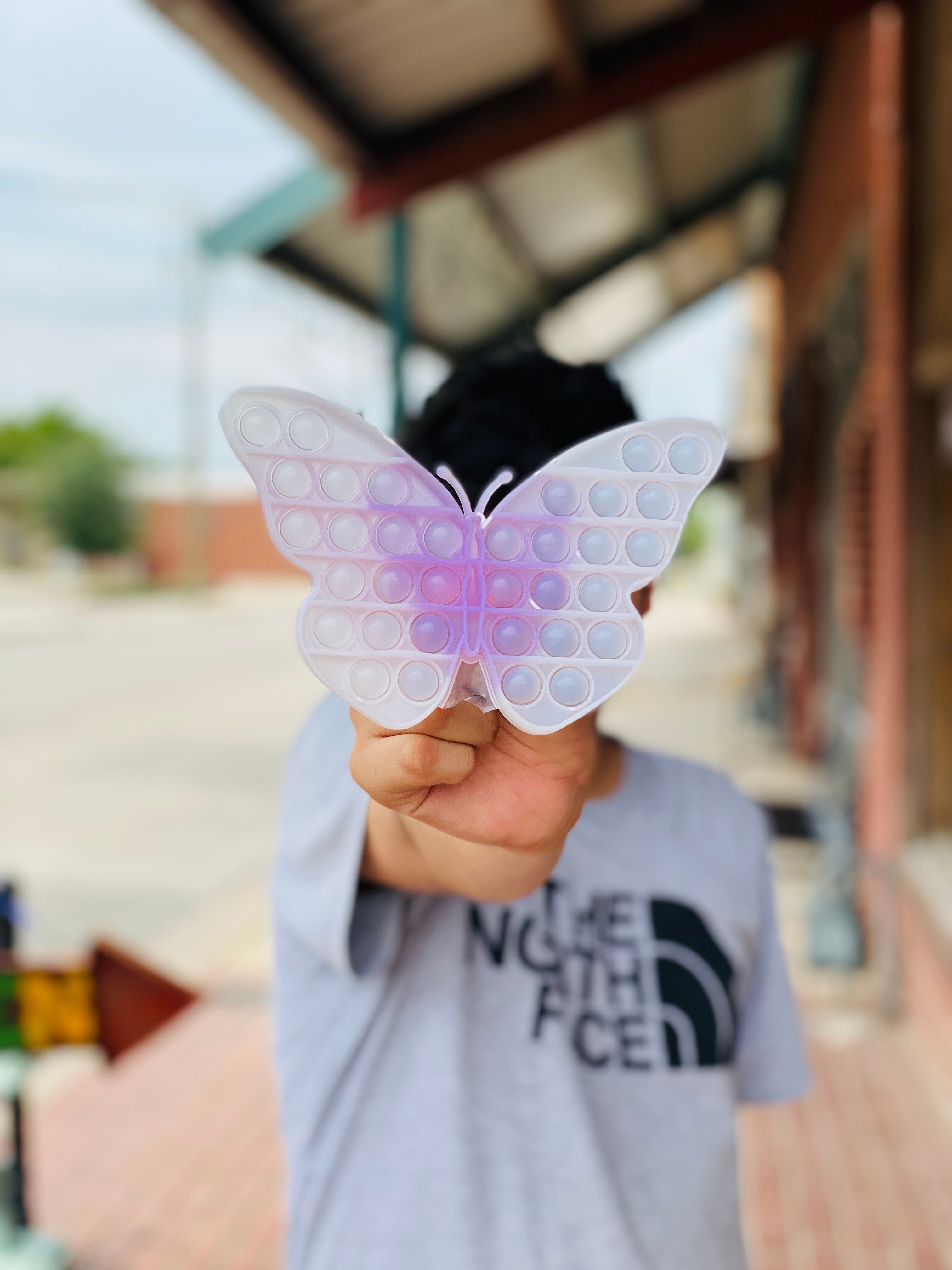 Butterfly Sunlight Color Changing Pop Fidget Toy