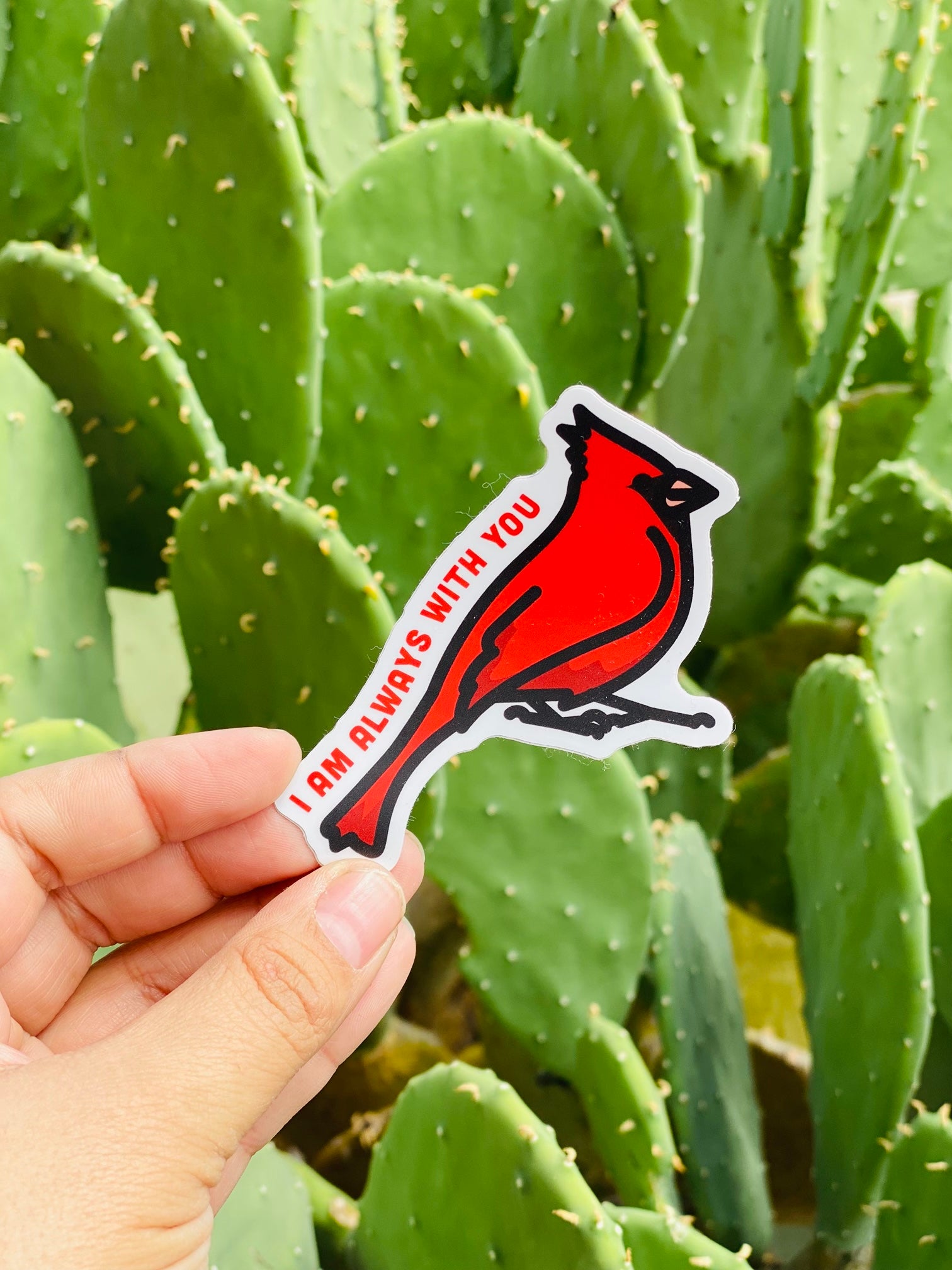 I Am Always With You Cardinal Sticker