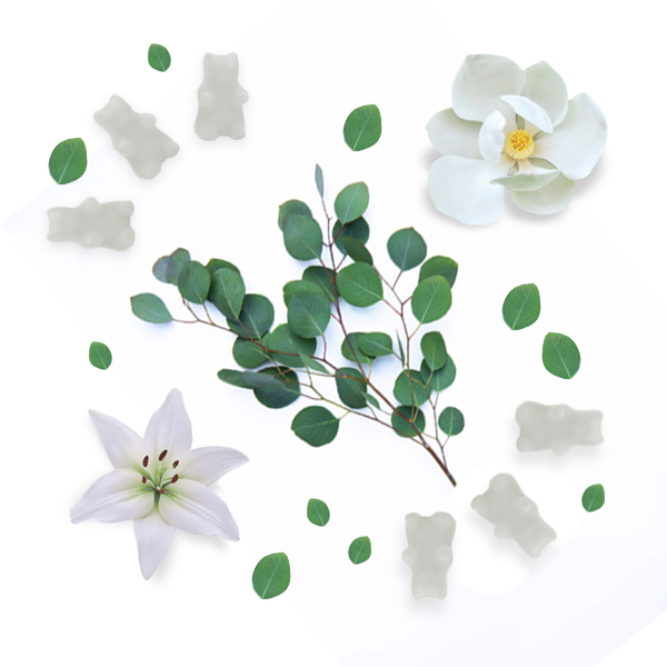 Magnolia Eucalyptus Happy Wax Melts 2oz